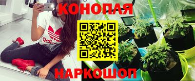 кристаллы Гусев
