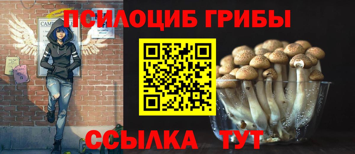 Псилоцибиновые грибы мицелий Медногорск