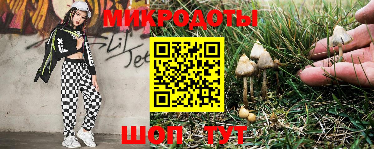 Галлюциногенные грибы GOLDEN TEACHER  Галлюциногенные грибы GOLDEN TEACHER  Медногорск  Вход с VPN 